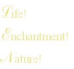 Life!
Enchantment!
Nature!